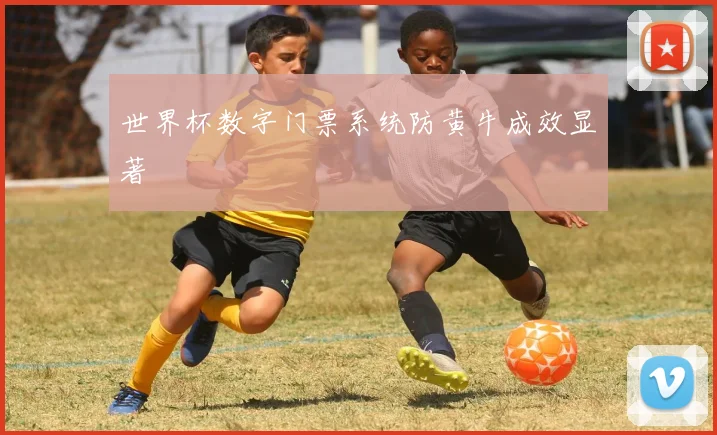 世界杯数字门票系统防黄牛成效显著
